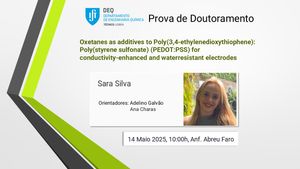prova-de-doutoramento-em-quimica-de-sara-silva