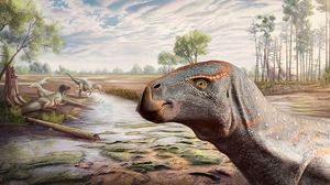 novo-cranio-de-dinossauro-identificado-por-investigadores-do-der-como-o-primeiro-iguanodonte-do-cretacico-portugues